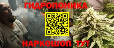 индика Татарск