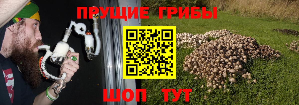 Псилоцибиновые грибы мухоморы  Вход с VPN  Богородицк 