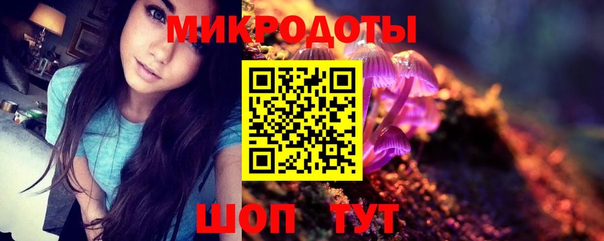 Псилоцибиновые грибы Psilocybe Богородицк